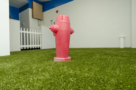 Guest Post – Fake Grass for Pets